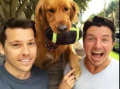 論演技，你恐怕比不上一只狗。。。