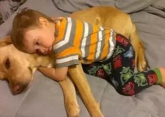 養(yǎng)狗千日，用在一時(shí)。。。。。