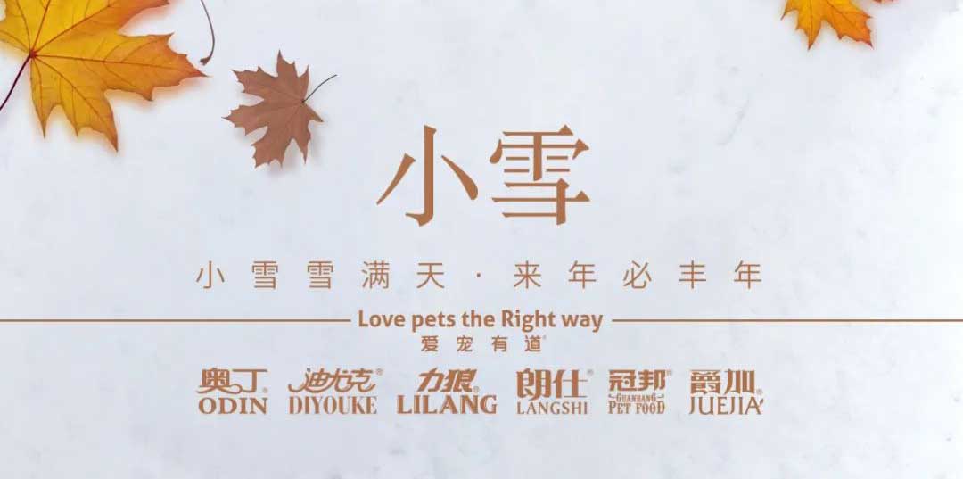 小雪丨天地初寒，歲月安暖